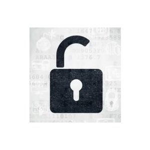 Услуги программирования Vizit